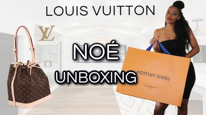 Louis Vuitton: Noe Pouch Review/ What fit's + Mod Shots 