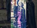 Bond CE Lore: Wolfgang Amadeus Mozart #shorts #fgo
