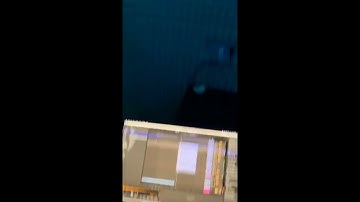 Slava Marlow - Я ленивый каждый день недели!  [SNIPPET]