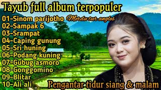GENDING JAWA TAYUB TULUNG AGUNG _ PENGANTAR TIDUR SIANG & MALAM PALING MERDU TUR ANGLES 