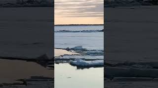 Нарьян-Мар ледоход