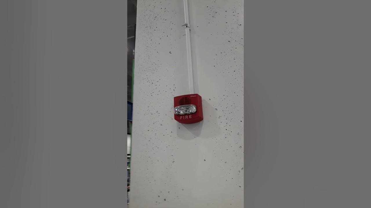 Simplex 49039425 Truealert at Best Buy, Harlem Irving Plaza, Norridge