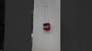 Simplex 4903-9425 Truealert at Best Buy, Harlem Irving Plaza, Norridge, IL