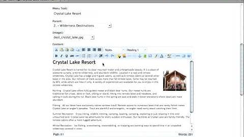 TinyMCE Editor - CMSMS