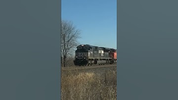 NS CN GECX Lashup on a train.