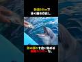 天才すぎるイルカ#雑学 #動物 #マジか動物園