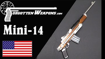 The Mini-14: A Cost-Effective Scaled-Down M14