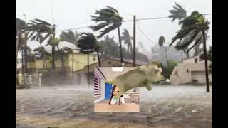HURRICANE meme