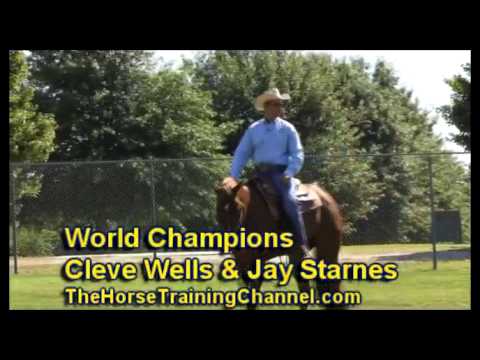 Champion Horse Training Tip: Cleve Wells & Jay Sta...