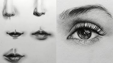 Giải đáp về học tập vẽ chân dung / cách vẽ chân dung bài bản như nào /htart