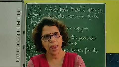 IV Science Chapter 8 Animals How life goes on Part 17