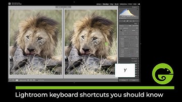 Lightroom - Keyboard shortcuts you should know