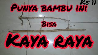 Manfaat bambu patil lele