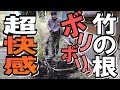 竹の根ハンター現る！たのしんさんに係れば何処にどう根が張り巡らされているか一発です