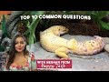 Top 10 Common Question New Leopard Gecko Owners Have! ft Happy Tails