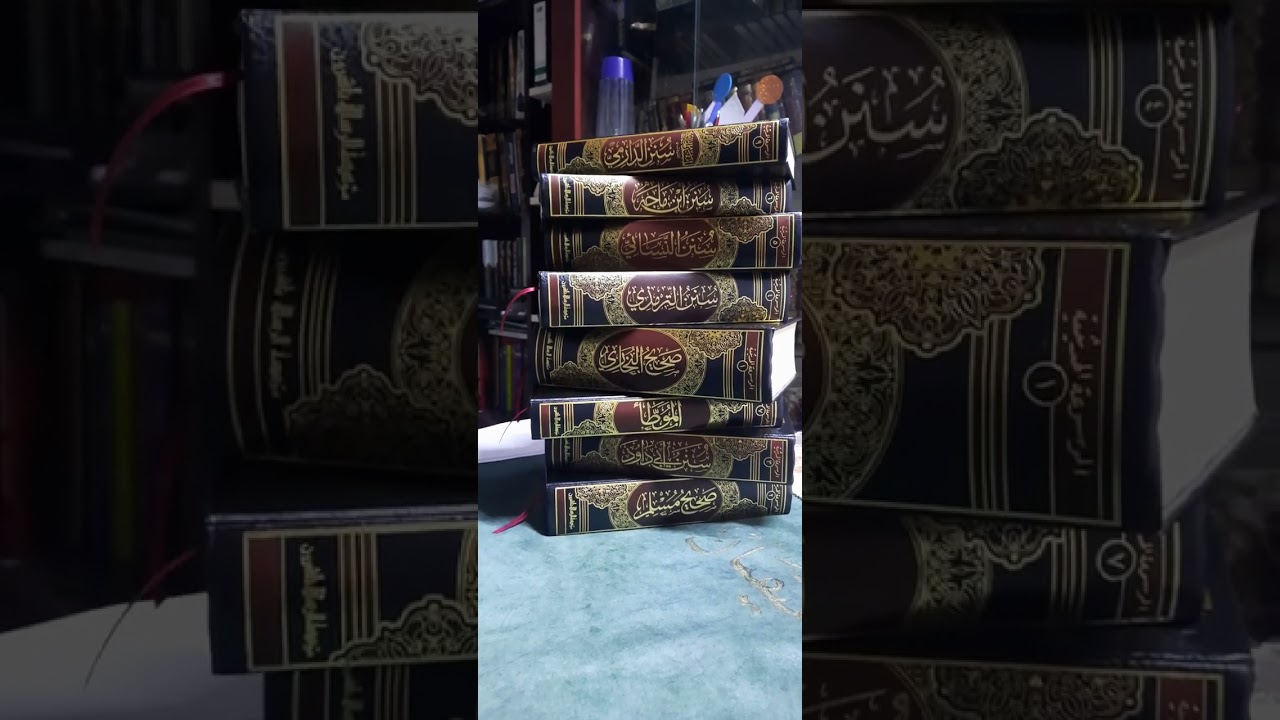 سەربورەك، شیڤان شێخەمیری
