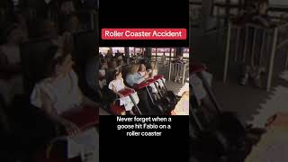 Fabio Roller Coaster Accident - a 10 pound goose hit Italian fashion model Fabio at Busch Gardens