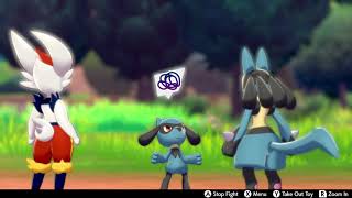 Riolu Fighting With Its Mom Lucario In Pokémon Camp