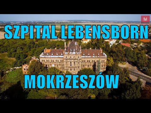 Video: Lebensborn: Wie Die Nazis Die 