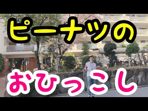 ドーナツピーナツのピーナツくんのお引越し