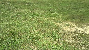 Syma X5C-1 Video test- Stabilised