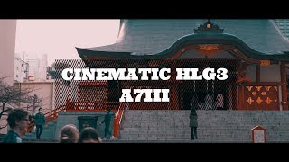 花園神社/Hanazono Shrine | A7III | HLG3 | Cinematic test footage
