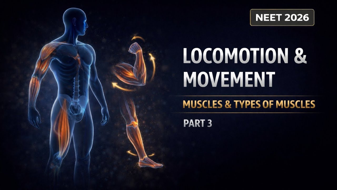 Locomotion & Movement | NCERT Line By Line💯 | NCERT Class 11th Biology📑 | NEET 2026 | Part 3🎯🎯