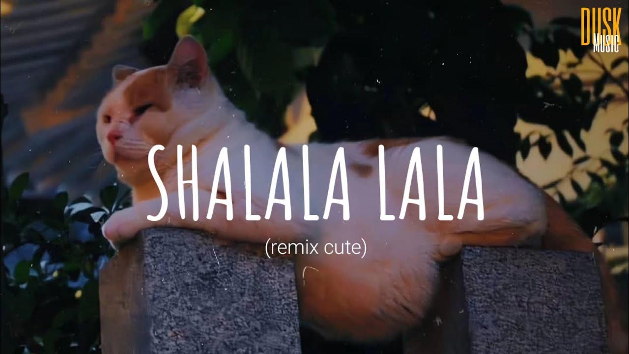 Shalala Lala remix cute    DJ DESA  Vietsub  Lyric Tik Tok Song