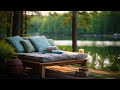 Tranquil Lakeside Retreat: Ambient Relaxation by the Sunlit Waters - waterbirds, bird song and waves