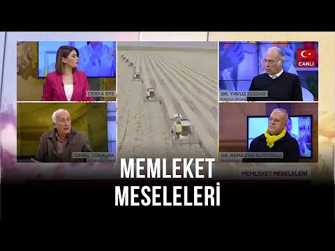 Memleket Meseleleri | Yavuz Dizdar | İsmail Tokalak | Ramazan Kurtoğlu | 15 Ocak 2019