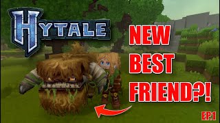 A fresh start in Hytale!