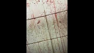 MXIXLXOTHVCC - MORBID HATRED