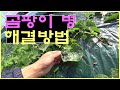 귀농 일상 vlog - 작물에 곰팡이 병이?!!!