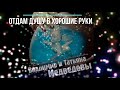 Владимир Медведев - Отдам душу в хорошие руки