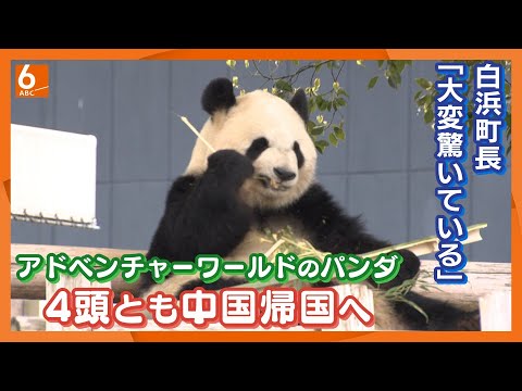激レア！ WE LOVE PANDA FAMILY アドベンチャーワールド
