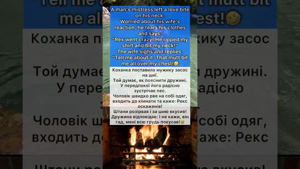 The Dog’s Excuse🤣Funny Joked🤣 