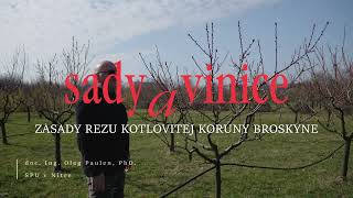 Sady a vinice  I  Zásady rezu kotlovitej koruny broskyne