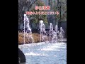 杉山清貴/黄昏のようにここにいる/#short/