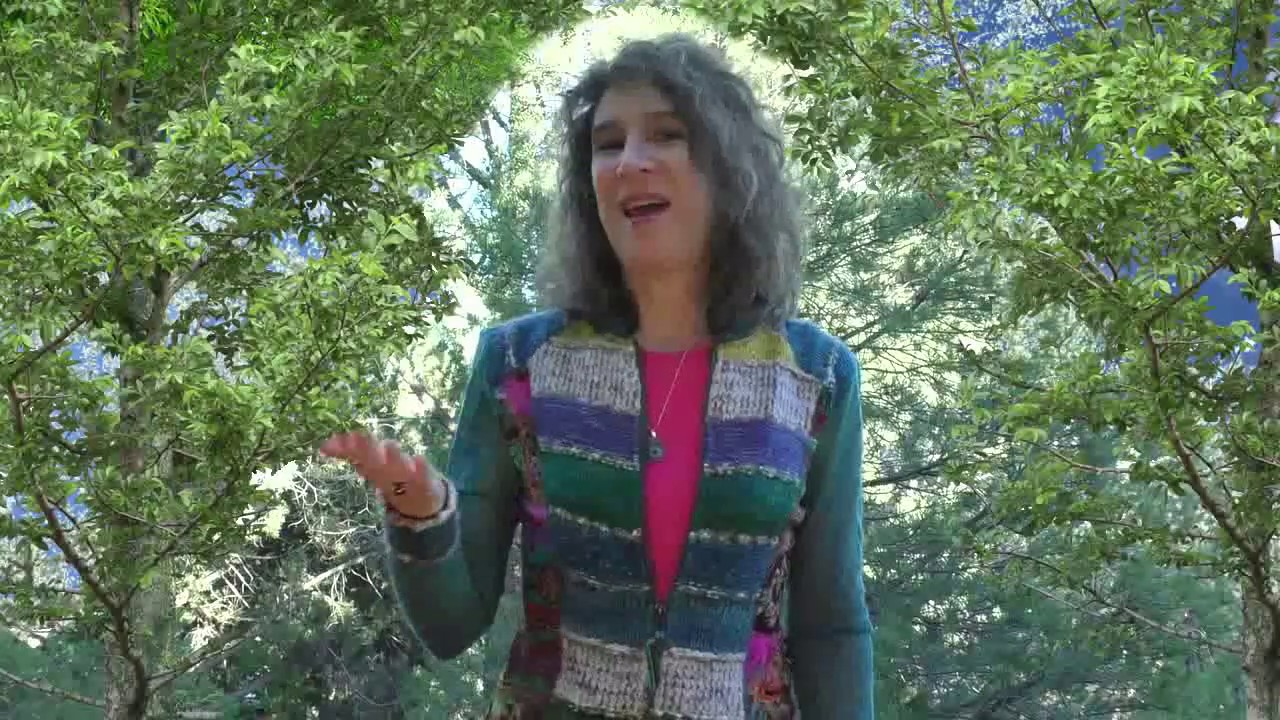 Soulmate Attraction System with Andie Snyder