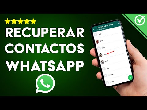 Cómo Recuperar Números de Contactos Eliminados en WhatsApp - Fácil y Rápido