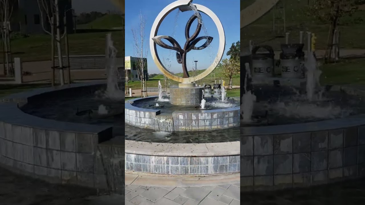 Truong Evergreen Valley College 