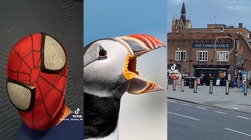 Funny Low Quality Tik Toks