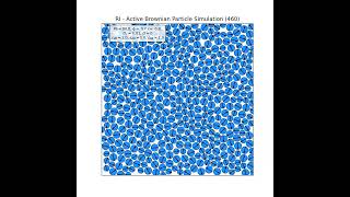 Dense Active System with Orientation Vectors - LJTS type of interaction