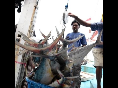 science jobs london Should we ban fishing in the high seas?