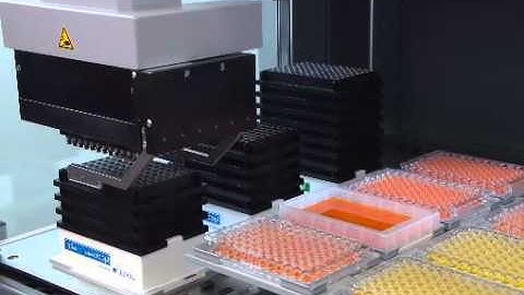 MCA 96 on a Freedom EVO 100 (8)