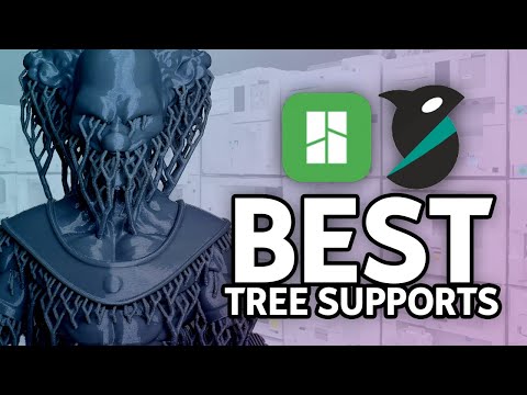 BEST TREE SUPPORT