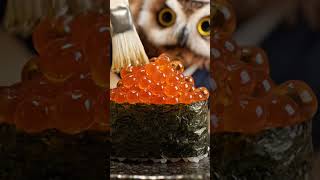 Owl Ikura Gunkan🦉#owlchef #ikura #gunkan #sushi #aivideo