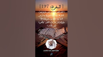 الآية (197) من سورة البقرة ... القارئ الشيخ سعد الغامدي.