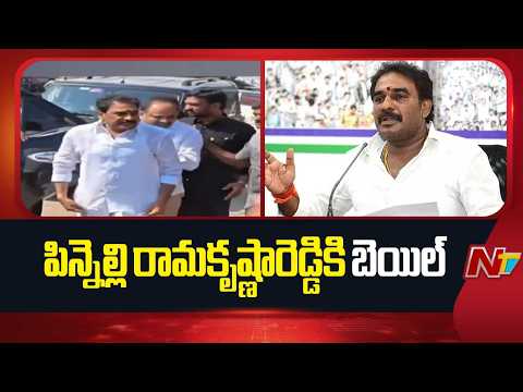 మాచర్ల మాజీ ఎమ్మెల్యే పిన్నెల్లి రామకృష్ణారెడ్డికి బెయిల్ | Pinnelli Ramakrishna Reddy | NTV Telugu - NTVTELUGU