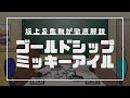 【No.17】ゴールドシップ＆ミッキーアイルを配合とデータから徹底解説（坂上明大の競馬学）